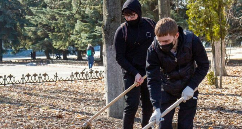 Новороссийских школьников могут обязать убираться в классах, сажать деревья и ухаживать за мемориалами 